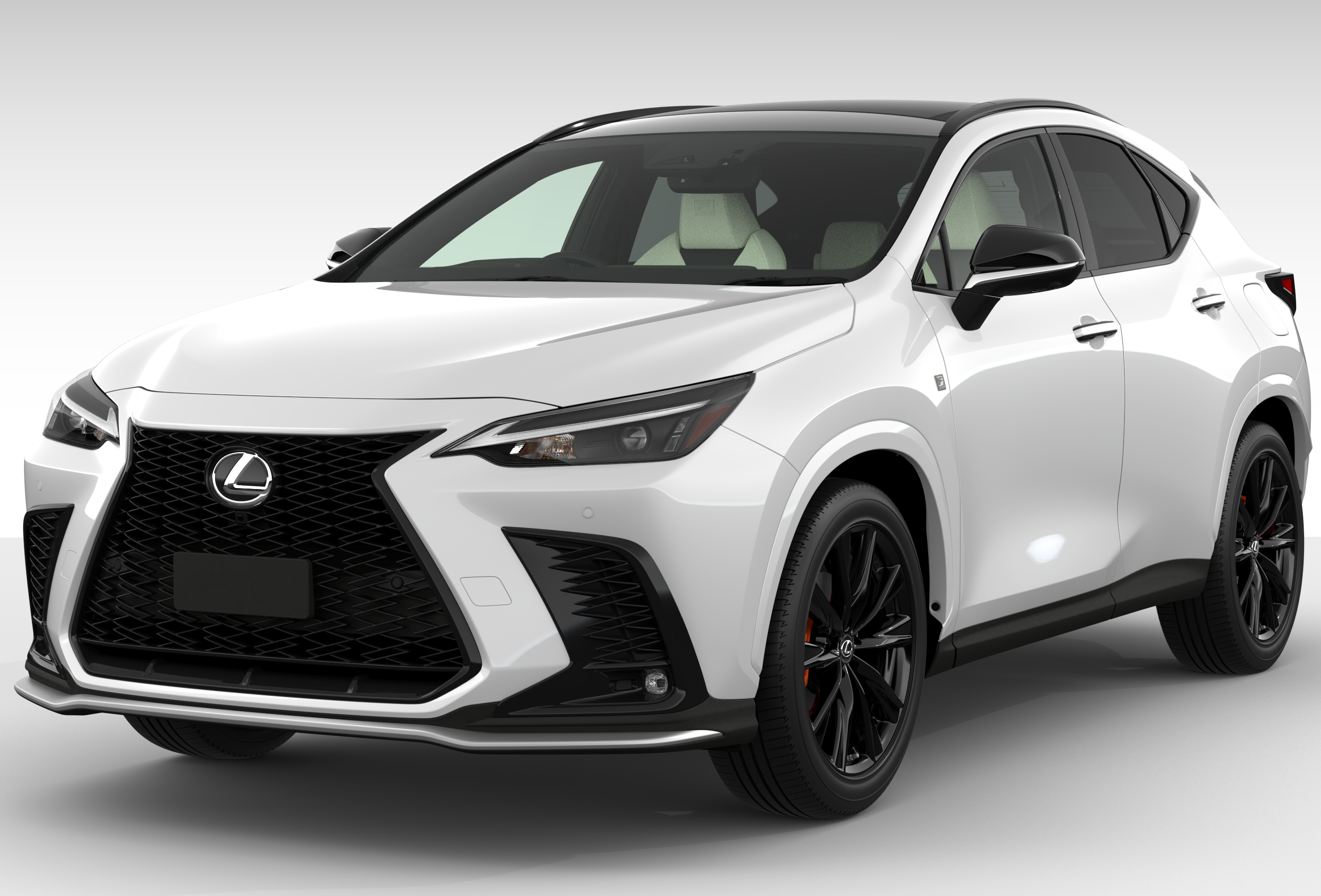 ビジュアル検索 | レクサス LEXUS NX 350/NX 250 取扱説明書